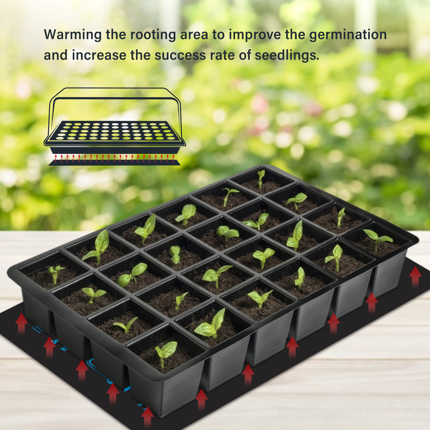 20.75x10CM EU/US/UK/AU Plug Se - Heat Mat Seedling 리뷰 및 가격