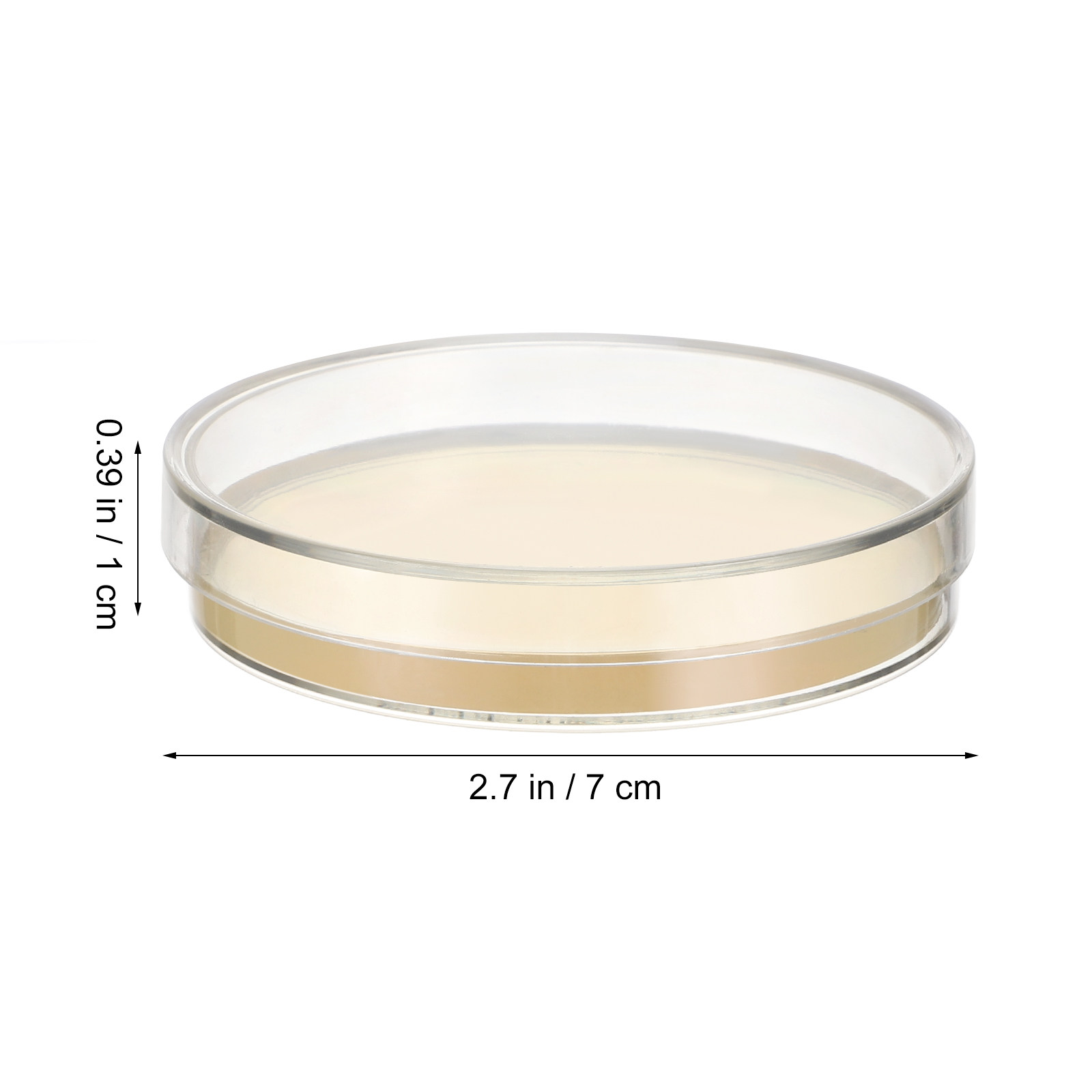 10pcs Pre-filled Agar Plates P - Agar Tissue Culture 리뷰 및 가격