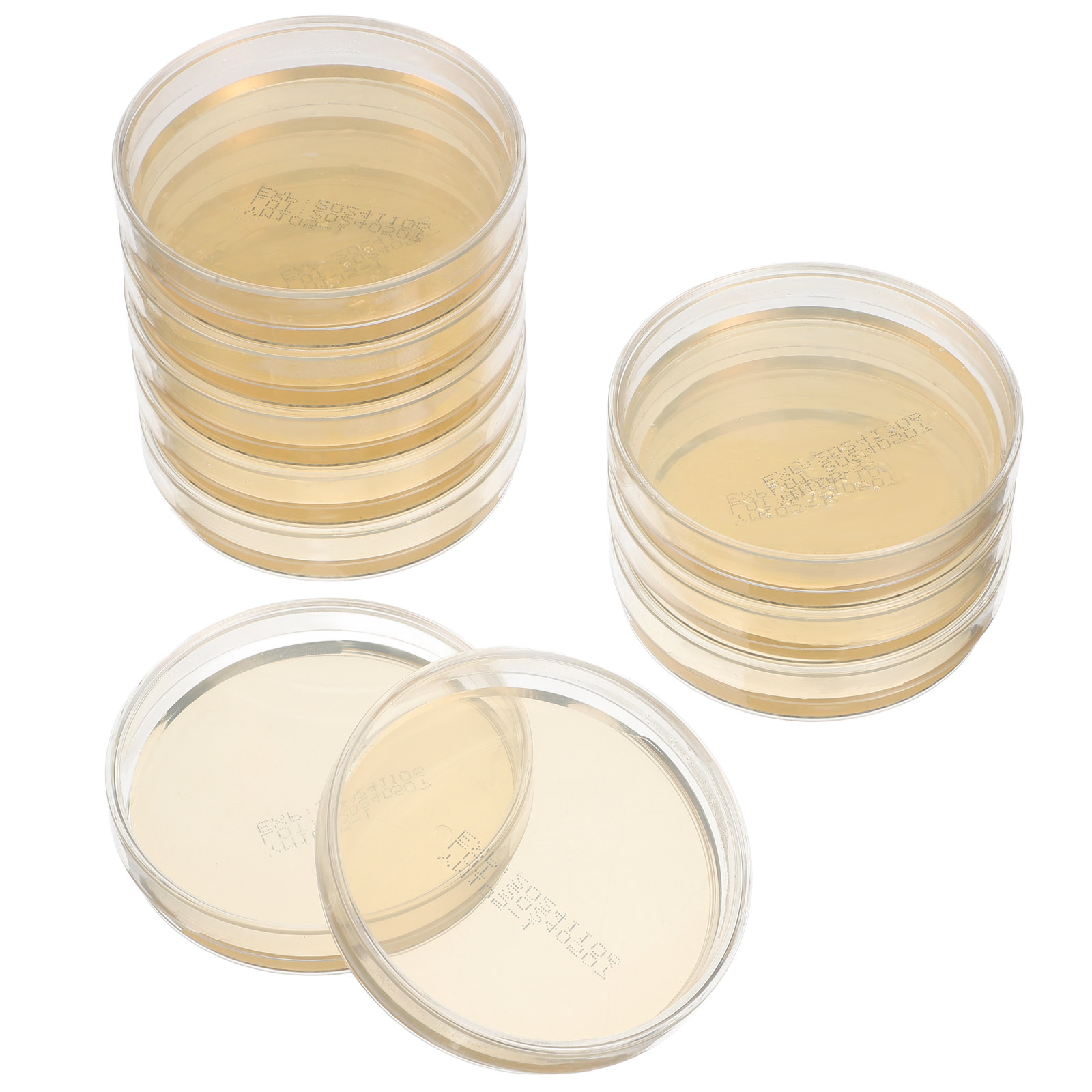 10pcs Pre-filled Agar Plates P - Agar Tissue Culture 리뷰 및 가격