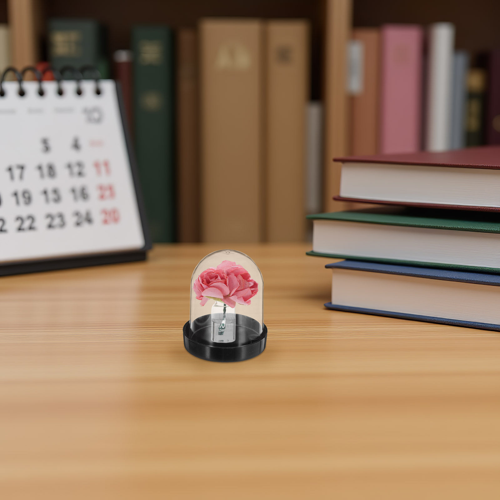 4Pcs Clear Micro Landscape Dom - Plastic Dome Clear 리뷰 및 가격